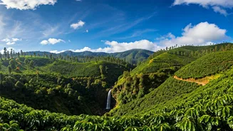 Coorg's Enchanting Escapes: Unveiling the Best Tourist Spots in the 'Scotland of India'