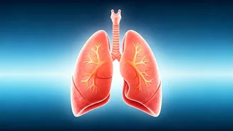 Diwali: Strengthen Lungs with 10-Minute Yoga