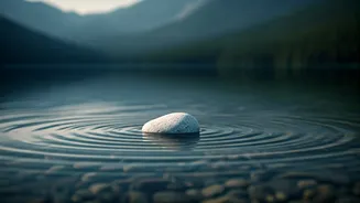 Mooji's Wisdom: Shedding Mental Clutter for Effortless Living