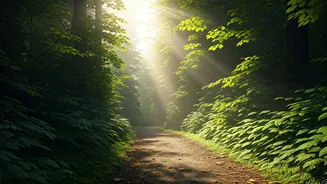 Indian Wellness Studios Are Going Walk-And-Breathe