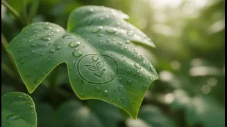 A Clear Vegan Logo Can Reduce Confusion Without Ending It