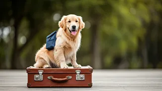 Furry Bosses Are Choosing Indian Holiday Plans