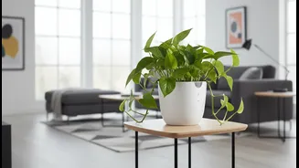 Indoor Gardening Gets Easier With Self-Watering Planters For Modern Homes
