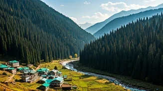 Jibhi Gives Himachal Travel A Softer Mood
