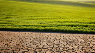 Immigration's Evolving Landscape: A Global Shift