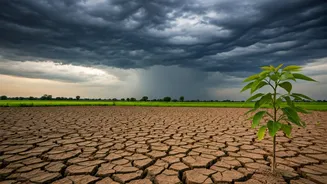 Why Rainfall Predictions Matter Beyond Weather