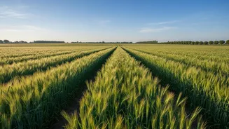 The Latest Kisan Credit Card Assessment: A Reader Guide To Interest-Support Effectiveness