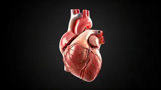 Jumpstart Your Health: Daily Jumps for a Week