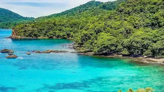 Visitor Growth Pushes Phu Quoc's Tourism Earnings Sharply Higher