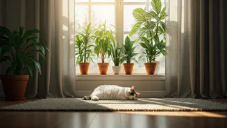 Natural Ventilation Hacks For Creating Healthy Pet Friendly Rooms