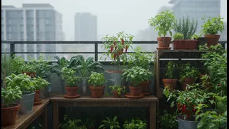 Monsoon Balcony Micro-Gardens Has a Use Case for Urban Renters and Home Gardeners: Grow Useful Food in Limited Space