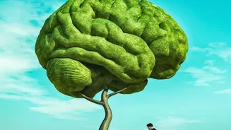 Managing Appraisal Season Burnout: Daily Habits To Protect Mental Health Under Work Targets