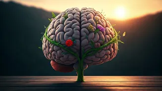 Mastering Teenage Anger: Simple Strategies for Emotional Control & Well-being