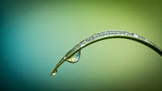 Navigating Parental Worry: Sadhguru's Insight and Expert Strategies for Calm Parenting