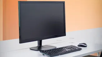 Why Correct Monitor Height And Chair Adjustments Prevent Lower Back Pain At Home
