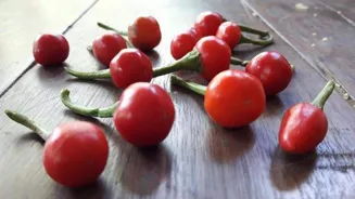 Wiri wiri pepper: The Caribbean chili you need to try
