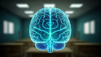 5 Reasons Kids Learn Languages Fast