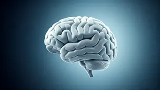 Conquer the Mind: A Guide to Inner Peace