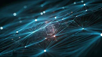 West Bengal's Voter Deletion Hotspots: Malda & Murshidabad Lead the Pack in Top 10