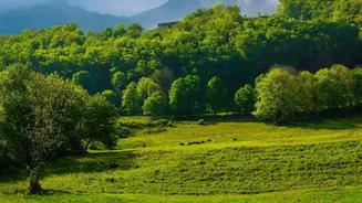August Getaways For Travellers Who Love Green Landscapes