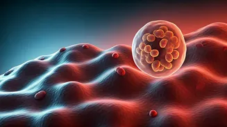 Related Stories banner