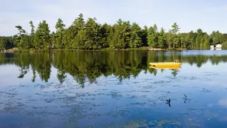 The New Chhattisgarh Pollen Study: Lake Sediments and Pollen Records Matter More than Modern Weather Stations Alone