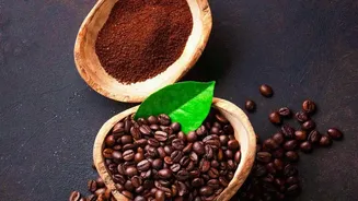 How single-origin Arabica beans from India's southern hills are redefining global specialty coffee perceptions