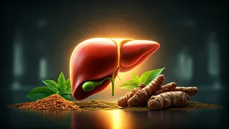 Ayurveda's Liver Protection: Scientific Insights into Ancient Healing for Modern Ailments