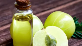Choosing Between Cold-Pressed And Refined Cooking Oils For Daily Traditional Indian Recipes