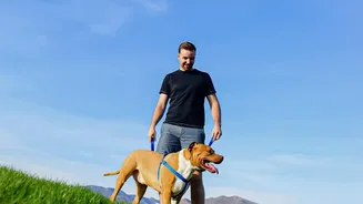 Housing, Training and Human Contact Can Influence Visible Canine Behaviour