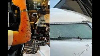 Pilot Hurt, Plane Plunges After Windshield Breaks