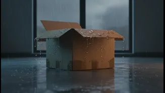 Moving Homes In July Needs Moisture Control, Not Last-Minute Jugaad