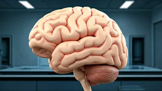 Unveiling Chiari Malformation: A Rare Brain Condition