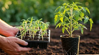 Skip the Seeds: 12 Plants Gardeners Say Aren't Worth Growing From Scratch