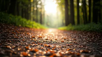 Walking Meditation: Transform Your Walks