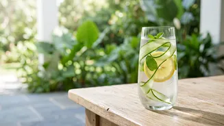 Hydration Hacks Beyond Plain Water Infuse Cucumber Mint Lemon For Daily Natural Detox