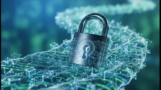 Travel Data Hygiene Continues After the Visa Is Submitted