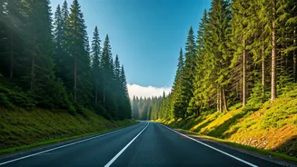 Beat the Heat: India's Top 6 Refreshing Summer Road Trip Escapes