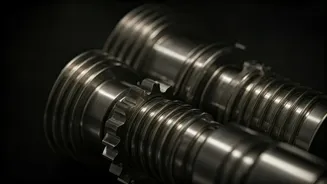 Zodiac Signs: Your Daily Insight