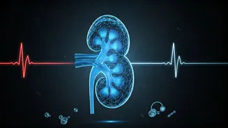 Kidney Health: Unmasking the Silent Threats of Stress, Blood Pressure, and Lifestyle Choices