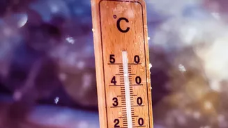 A Freezer Thermometer Can Confirm That Storage Stays Cold Enough