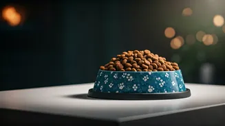 Pet Food Is India’s Next Wellness Obsession