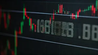 Unveiling Pine Labs IPO: Subscription Status & Analysis