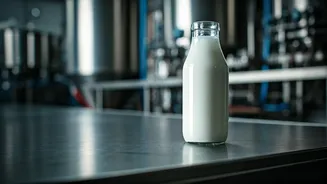 Related Stories banner