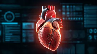 Young Hearts at Risk: A Growing Concern After Tragic Loss of 33-Year-Old Actor