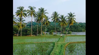 Karnataka Faces ₹18,000 Crore Loss Due to Drought in 101 Taluks
