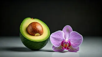 Indian Consumers Are Choosing Skin-First Korean Formulas
