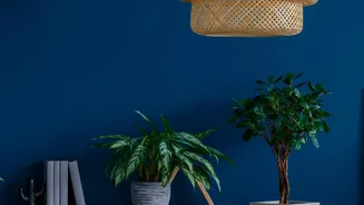 The Monsoon Decor Shift Makes Humidity-Ready Materials Matter