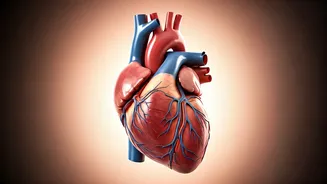 Know Heart Health Early Signs and Stay Well