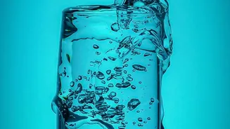 Self-Watering Pots Need a Clear and Working Overflow Route